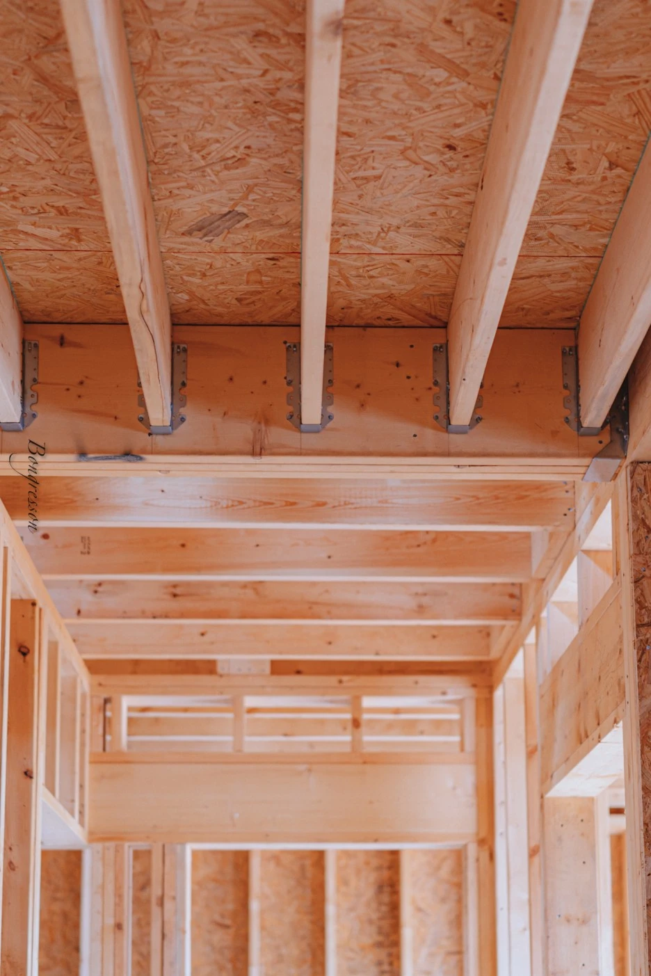 A7R04669.JPG?type=w1