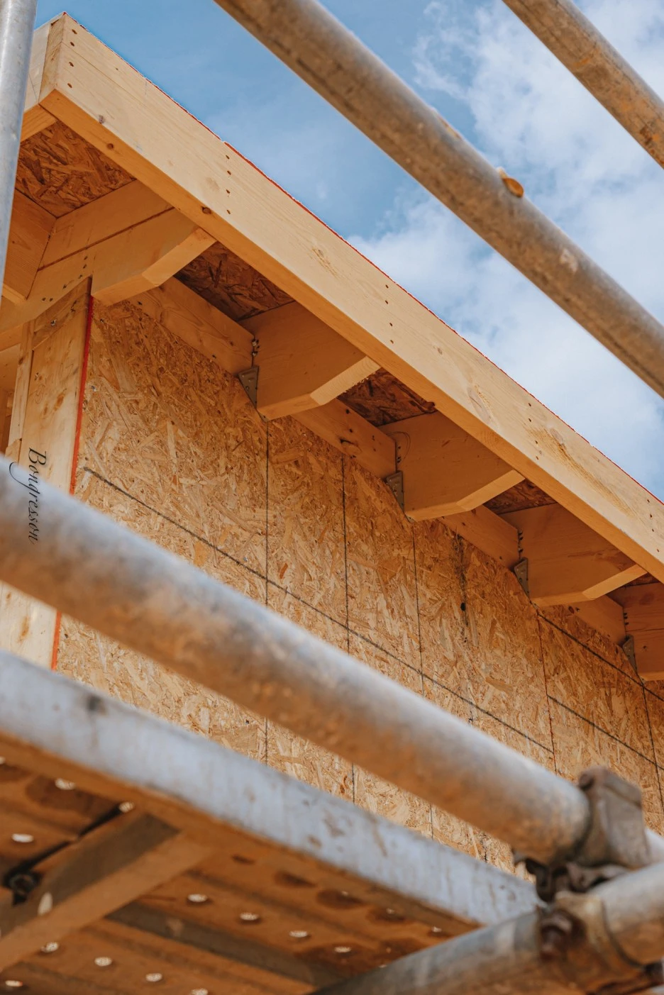 A7R04359.JPG?type=w1