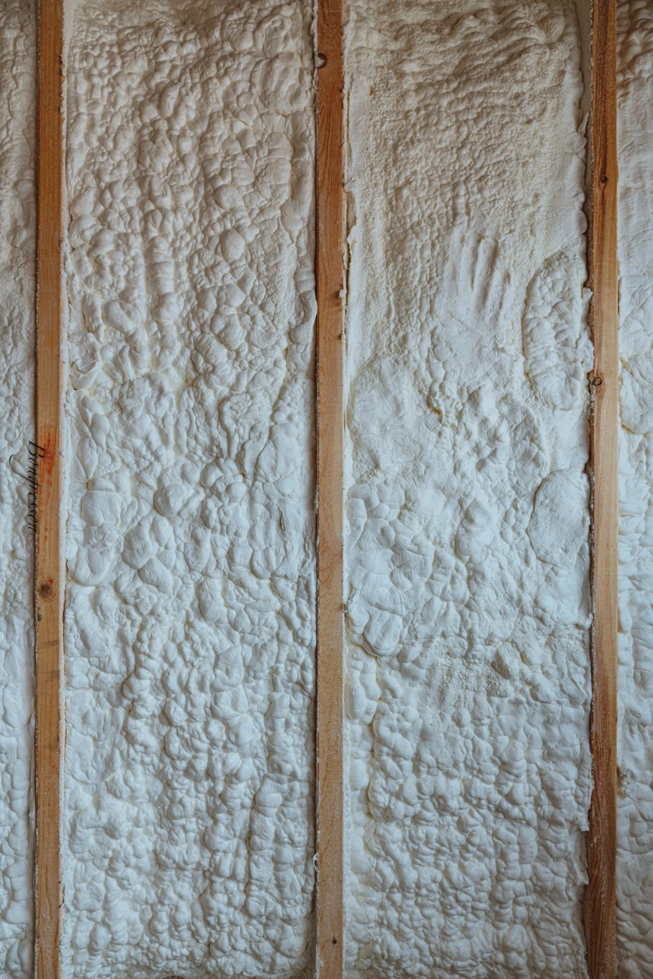 A7R06024.JPG?type=w1