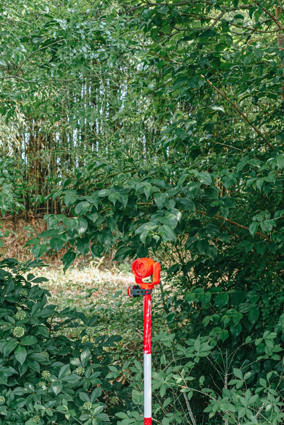 A7R01540.JPG?type=w1