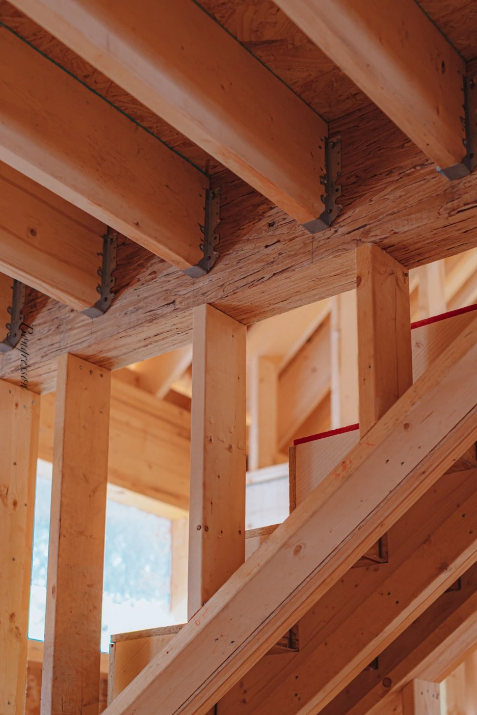 A7R04668.JPG?type=w1