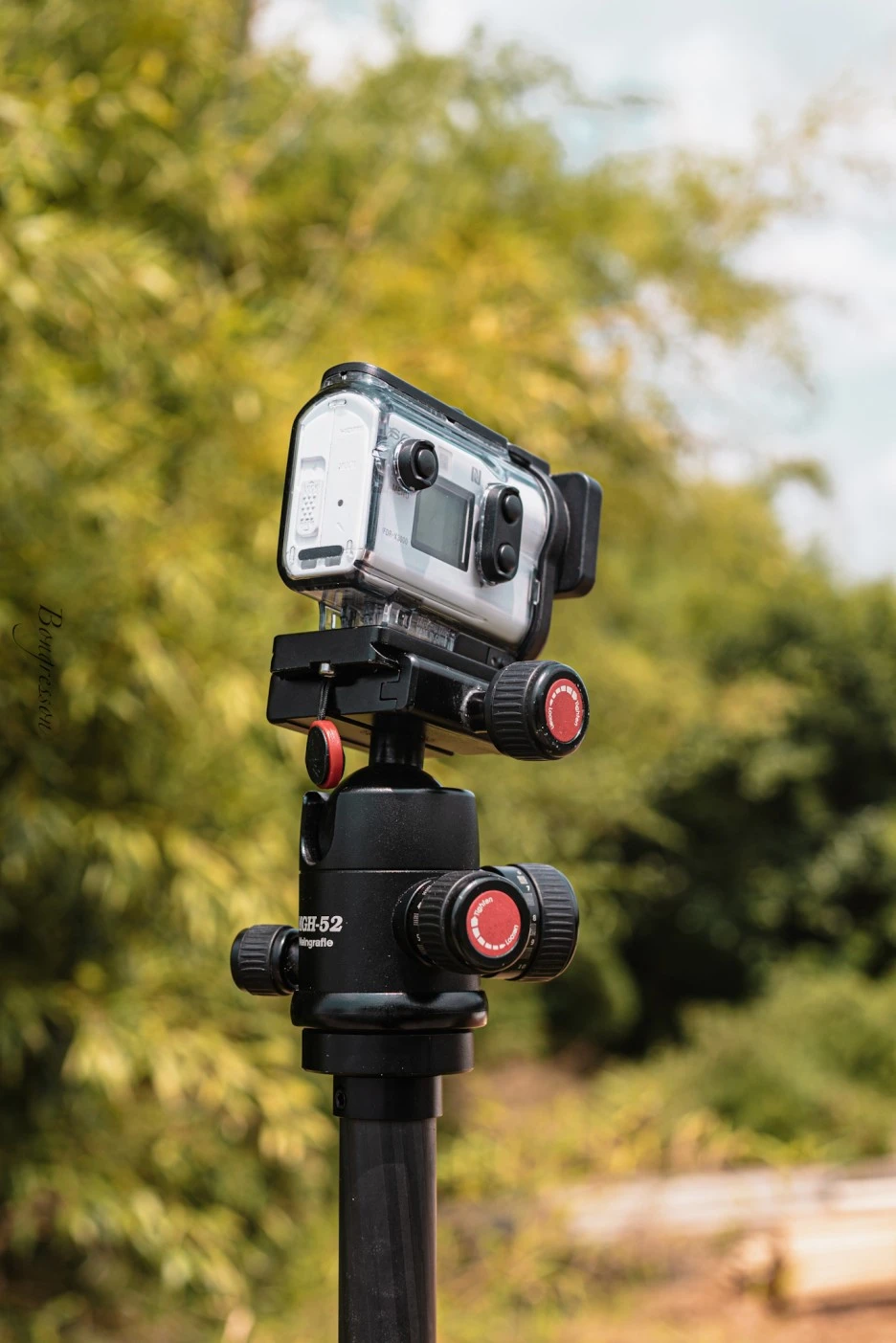 A7R03204.JPG?type=w1