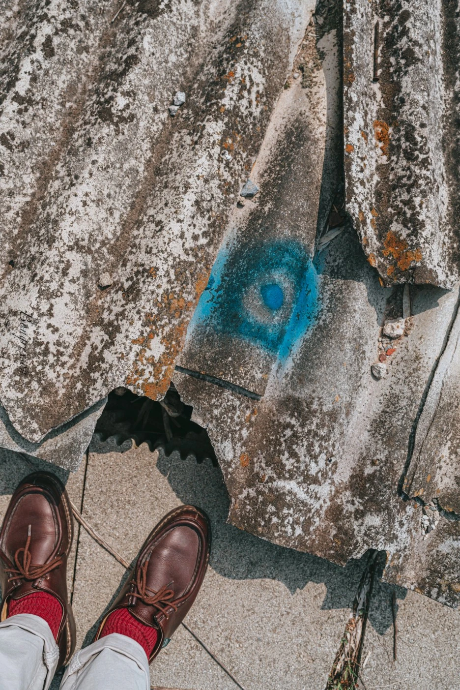 A7R01536.JPG?type=w1