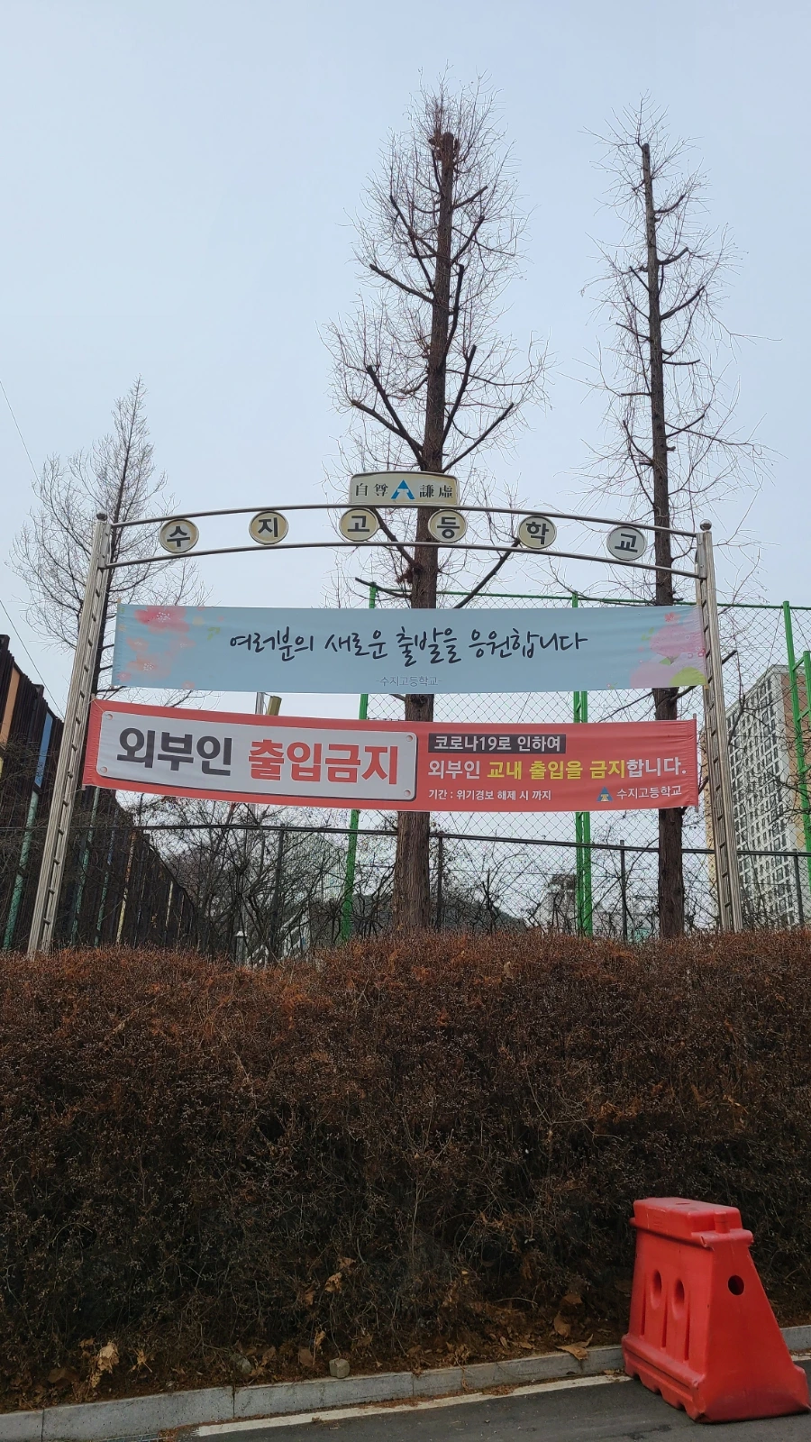 20220213%EF%BC%BF130737.jpg?type=w966