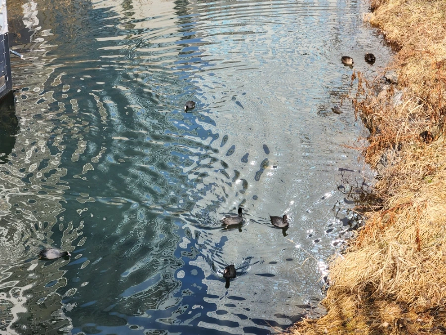 20230108%EF%BC%BF113546.jpg?type=w966