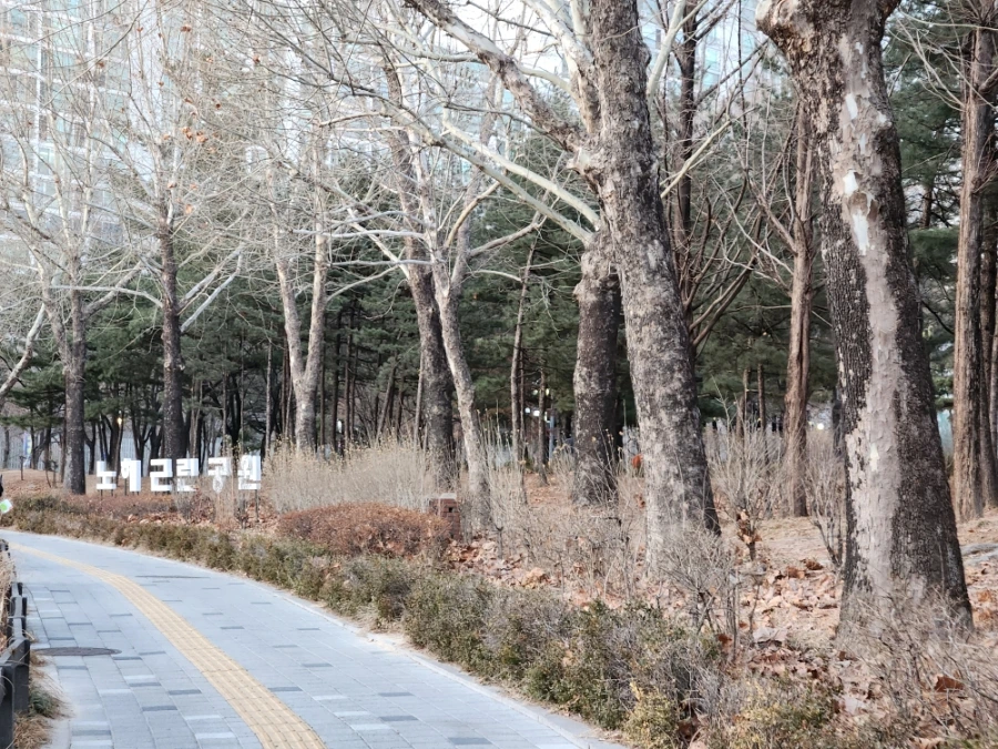 20230225%EF%BC%BF181438.jpg?type=w966