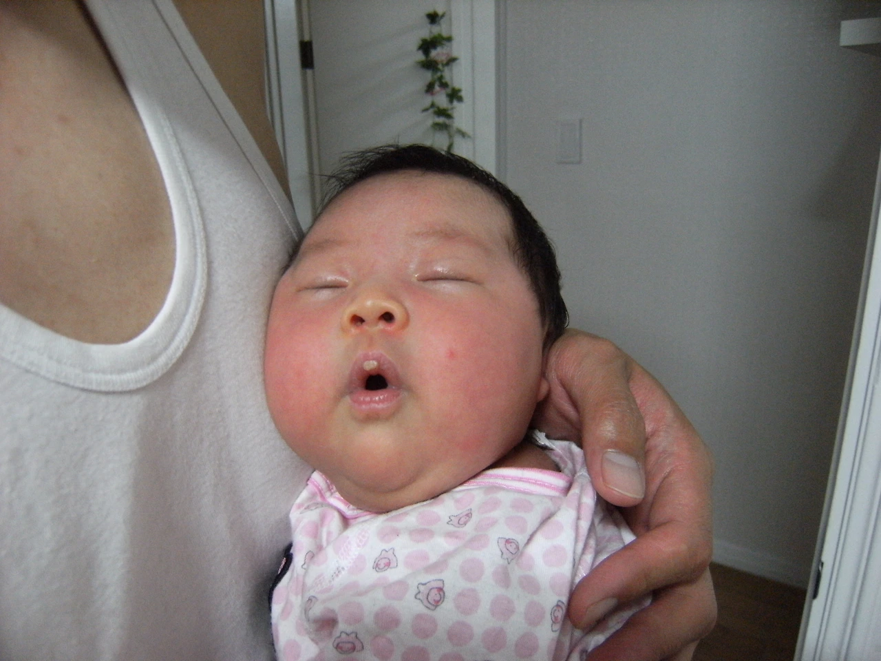 090516_미주 27일차-옹옹.JPG