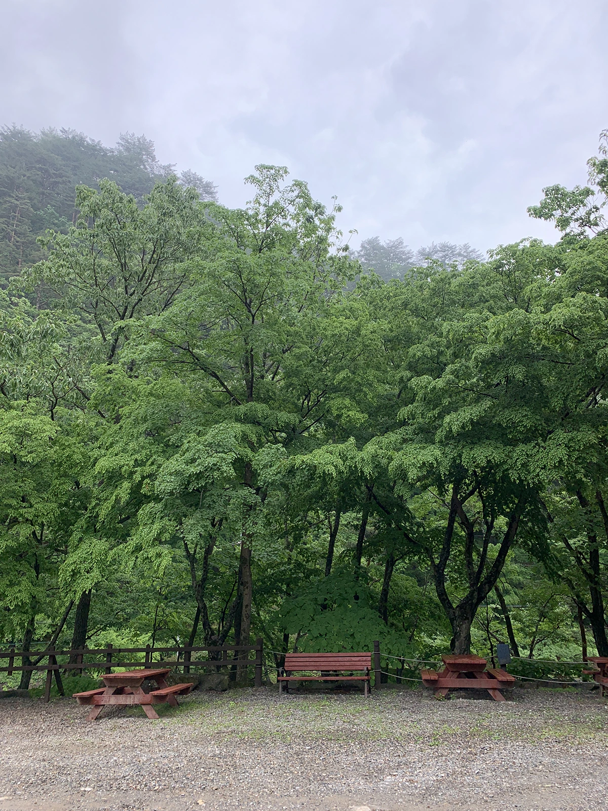 다운로드 (1).jpeg