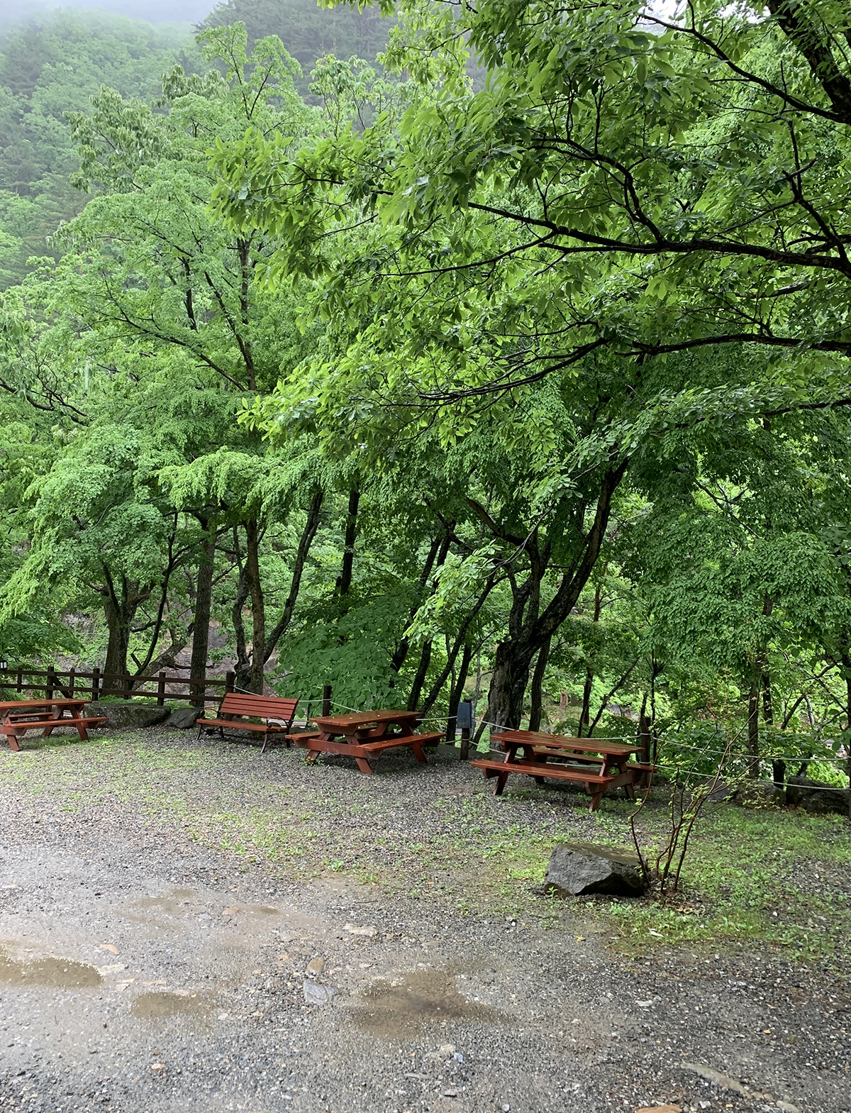 다운로드 (3).jpeg