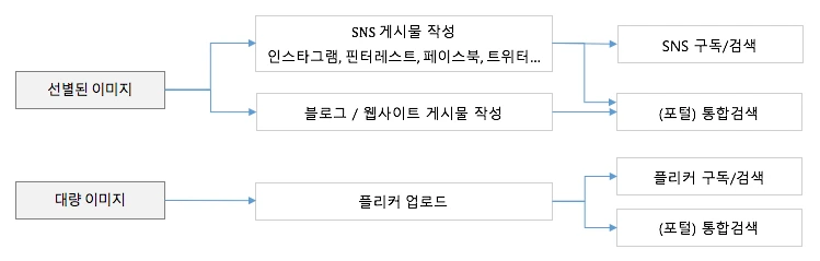 선별된 이미지.png