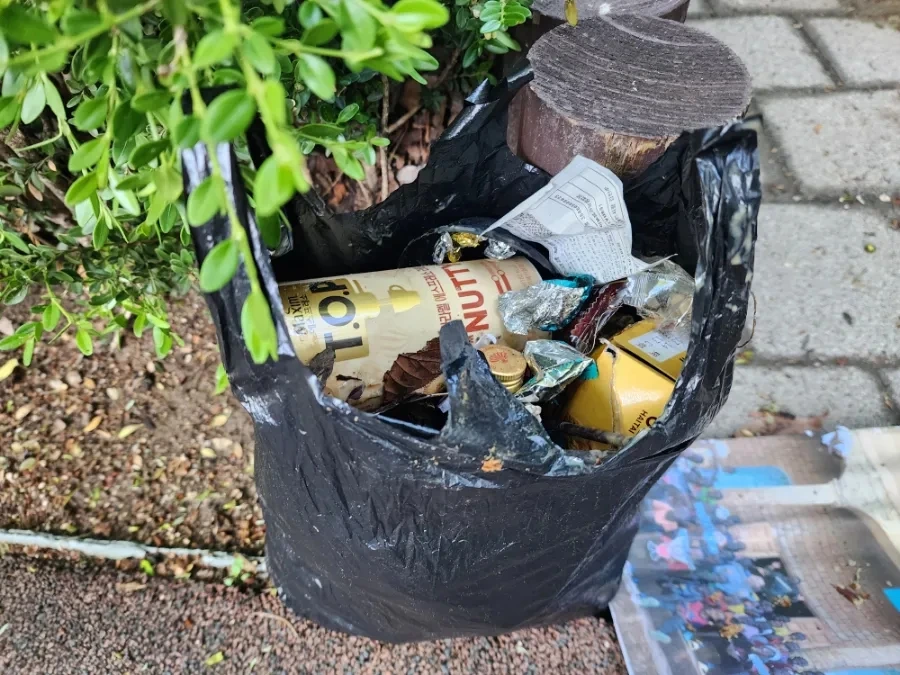 20240508%EF%BC%BF085342.jpg?type=w966