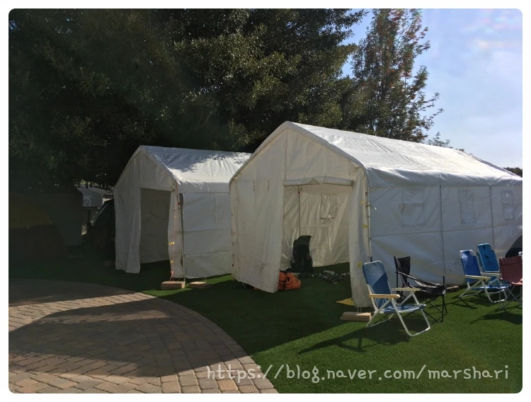 SE-8e0159a8-b992-4373-ba0e-234471127f56.jpg?type=w1