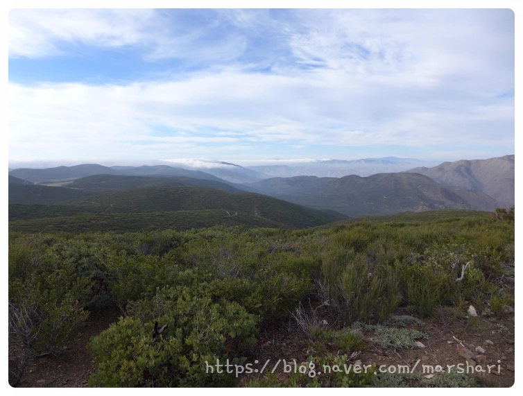 SE-3094df30-0c2c-42f5-b5d6-37bd93fd2117.jpg?type=w1