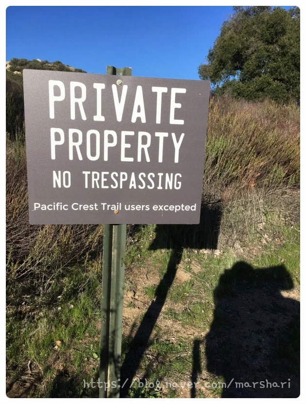 SE-44e2c89c-df7a-4551-950b-efe628b71128.jpg?type=w1