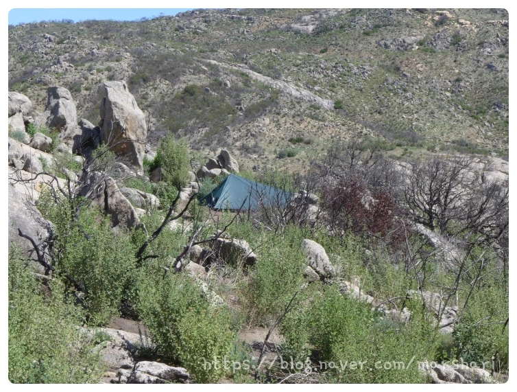 SE-01060a3a-06bf-4f3c-bdf0-98dfb1d8cef3.jpg?type=w1