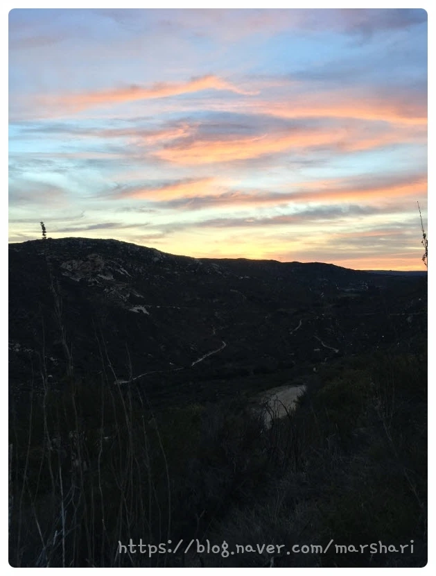 SE-e76113d8-8a9f-405b-bb6a-7d6640bd0f08.jpg?type=w1