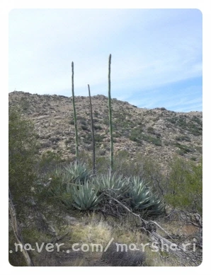 SE-44402076-ccba-4858-be08-c2e7ceb54cab.jpg?type=w1