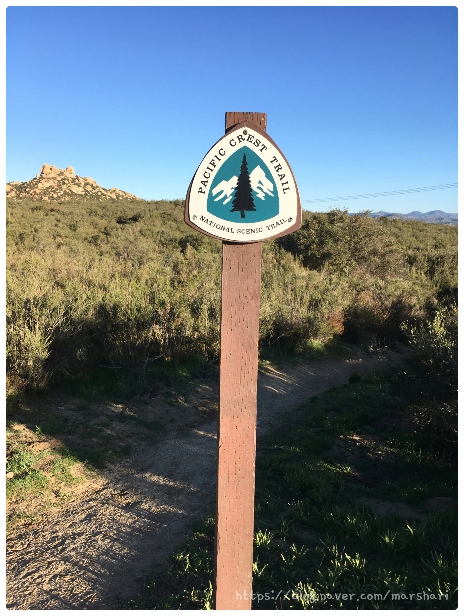 SE-48d07e83-017a-4d9d-aaae-828251b9f4e8.jpg?type=w1