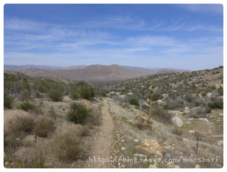 SE-749f3428-c89c-499f-ad83-7b22992faaac.jpg?type=w1