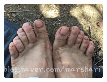 SE-fb72474f-e2b8-46fe-9886-f901fc5fa1ab.jpg?type=w1