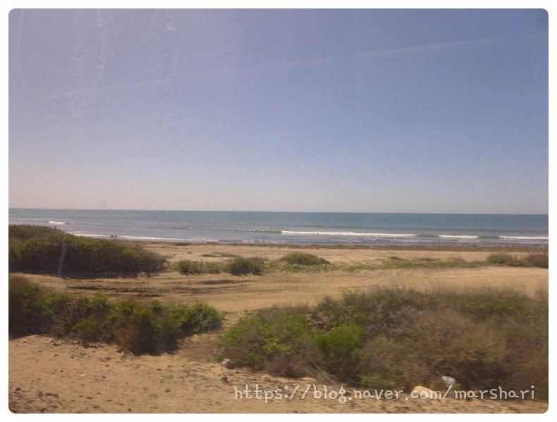 SE-7caeba30-624d-41dd-9951-b6670ff90394.jpg?type=w1