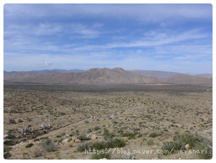 SE-080bce3c-69f9-4673-b725-f523a0229c58.jpg?type=w1