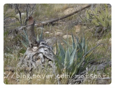 SE-1466bf12-abbb-43c5-85a7-8b518889176a.jpg?type=w1