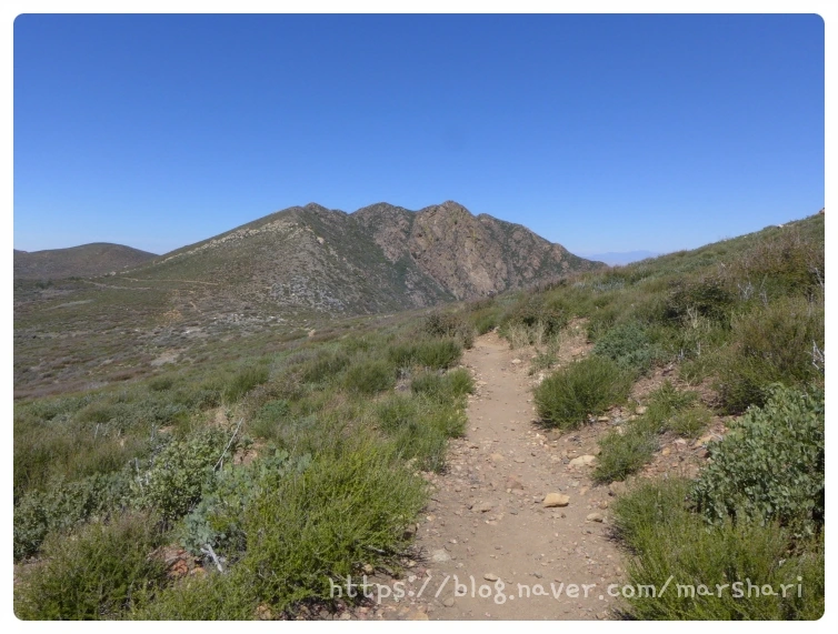 SE-aa3cb1e2-8e4a-40bf-99bd-88330e0bca92.jpg?type=w1