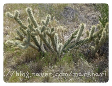 SE-40a49df8-fdb3-4154-b7d8-4be6cc1fcd29.jpg?type=w1