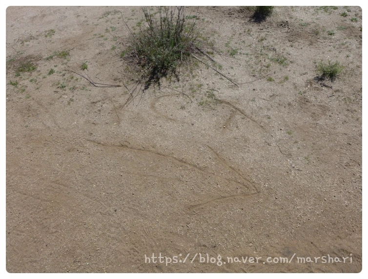 SE-94767079-27e3-4259-ae98-27962f8d750d.jpg?type=w1