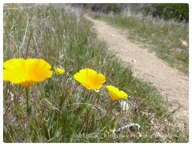 SE-114aa832-1e6e-4b6f-a5f1-db4cc65c841d.jpg?type=w1