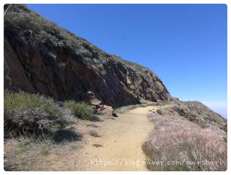 SE-dd422b04-4e65-4331-bc56-99f62a7459be.jpg?type=w1