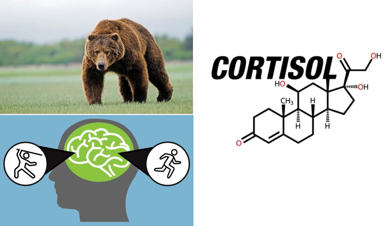 YAahX79DsUDHG9CFXz9UKk8RaAGNWX5qiB8Eamt0RpNqxUZkXv_4TAt_3oV2yF3lwTXq9upt05L4Evnsf_cnUU4YAOwax3cdPw2CNgDRtBSDttpsMYy2KPseKy_u0WSXWHU-GITI