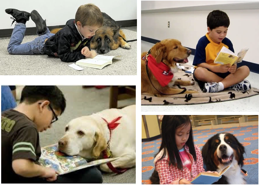 QHjTOU-tgkK1JmCPAQJA_ehQAIUxFjc74iM_RczdT-LDdS7MMkS_d5zUkraF1Wd_ZVTybo3JCO-yzfq-tPsfHSSUVG3X6OeUWdBLMEAHh8UQqcLXyel9hlAhoEvIlmrcNHwf1oRM