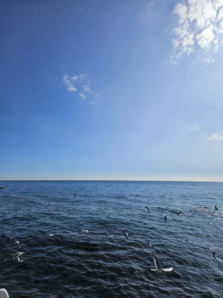 20240218_103037.jpg?type=w773