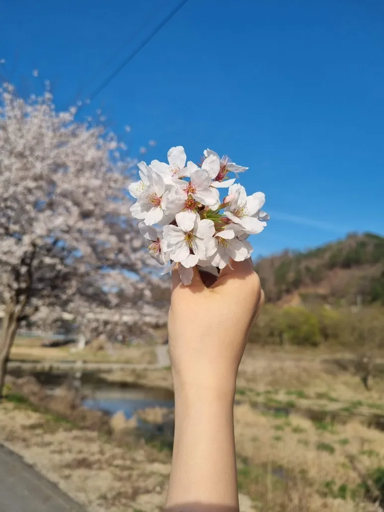 20230403_164526.jpg?type=w773