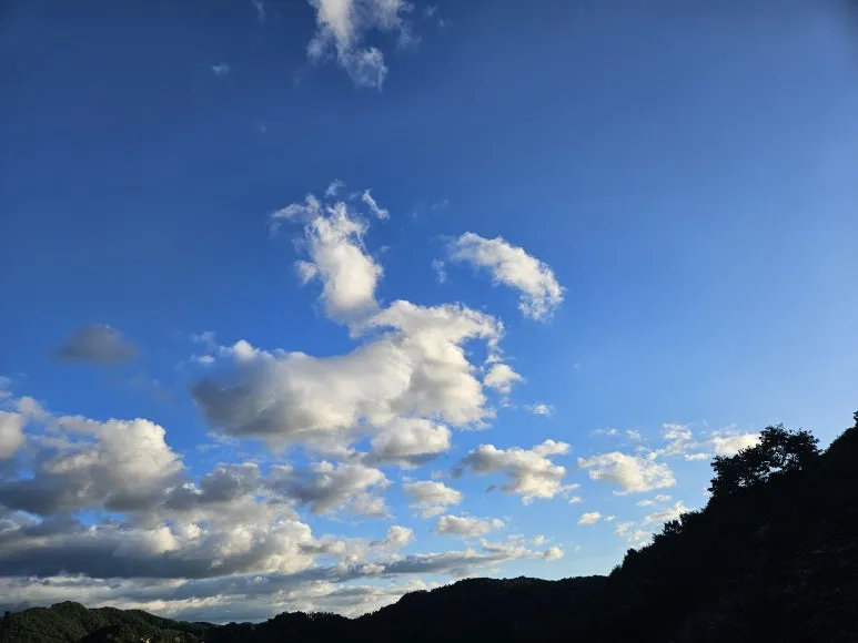 20240829_182241.jpg?type=w773