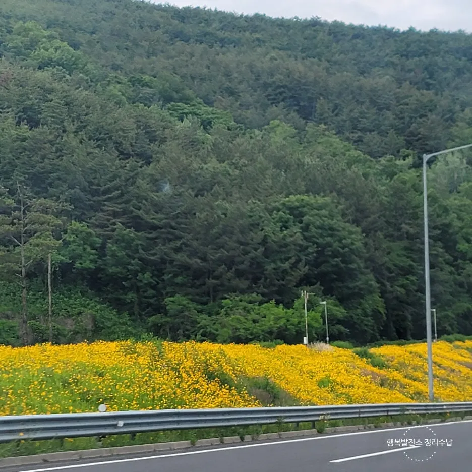 SE-69085e62-c3f7-4de5-9dc5-d82becc0f1de.jpg?type=w1