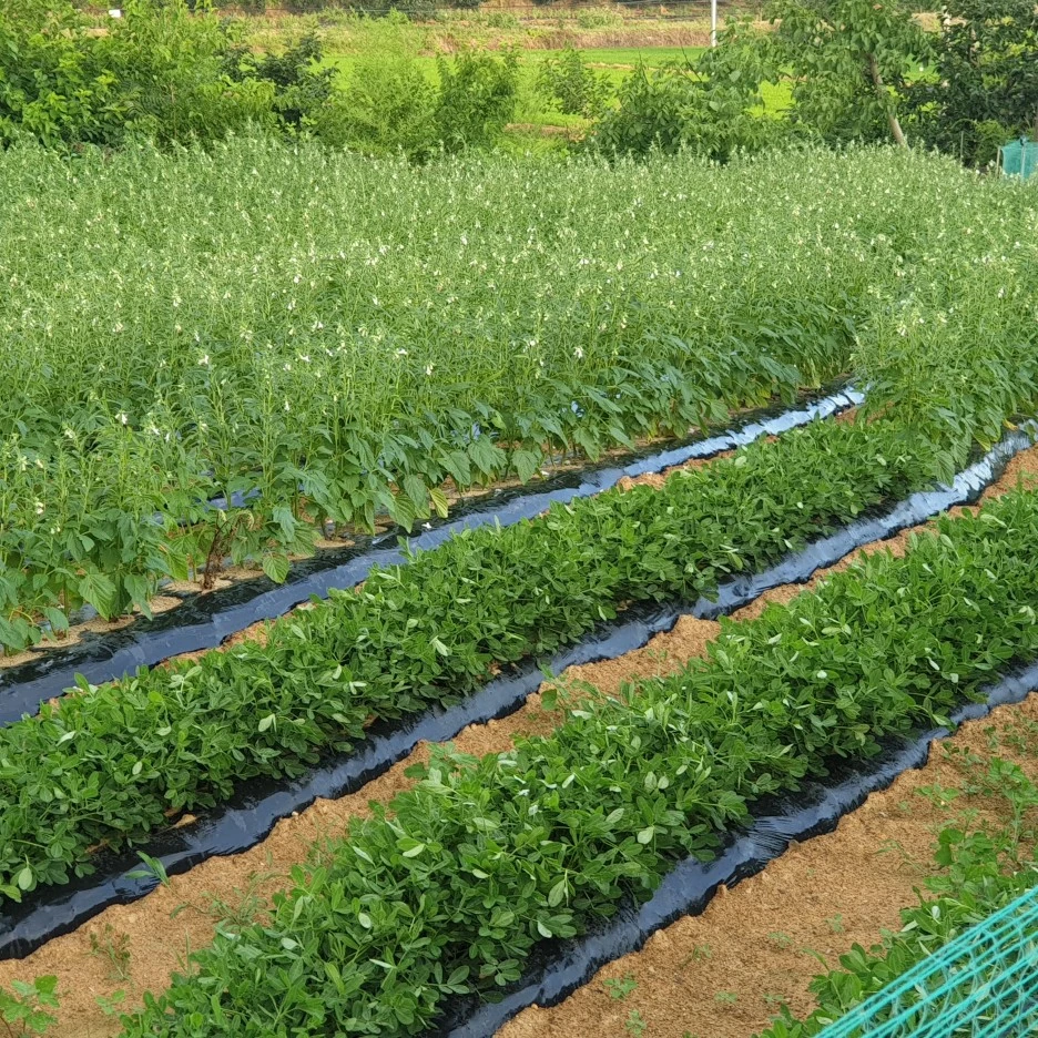 20220701_185613.jpg?type=w1