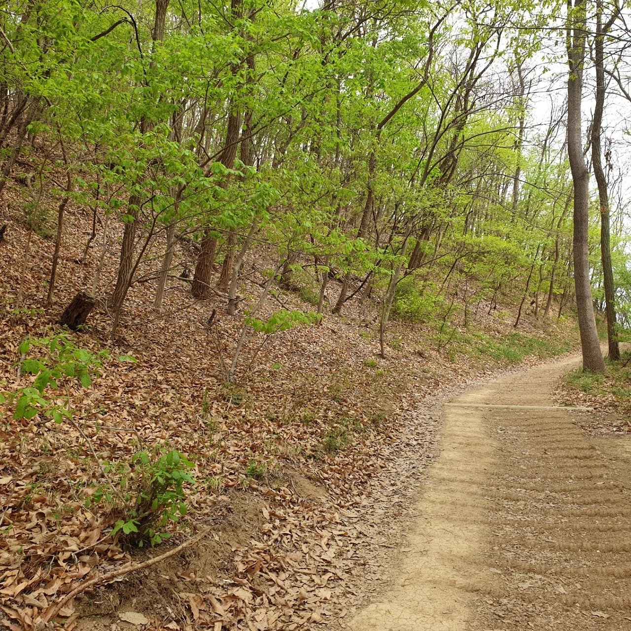 temp_1649902140051.1204131279 (1).jpeg