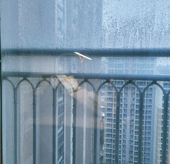 SE-5b980c93-2aeb-4daf-b21e-9ee225b86a17.jpg?type=w580