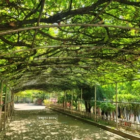 SE-6380a436-4114-4b87-a5fd-e79c9703bc6a.jpg?type=w275