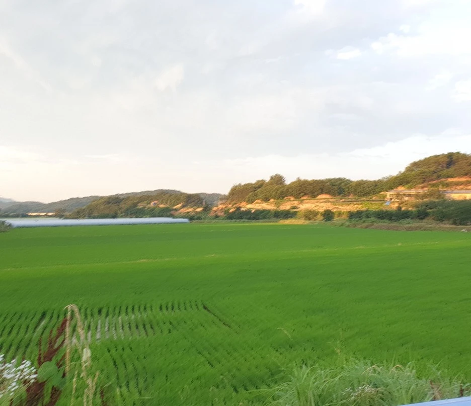 SE-5745f753-ba5c-4008-9755-5508b35d3cc9.jpg?type=w1