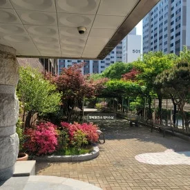 SE-07cb80fa-4846-475e-8878-73a85278ba4d.jpg?type=w275