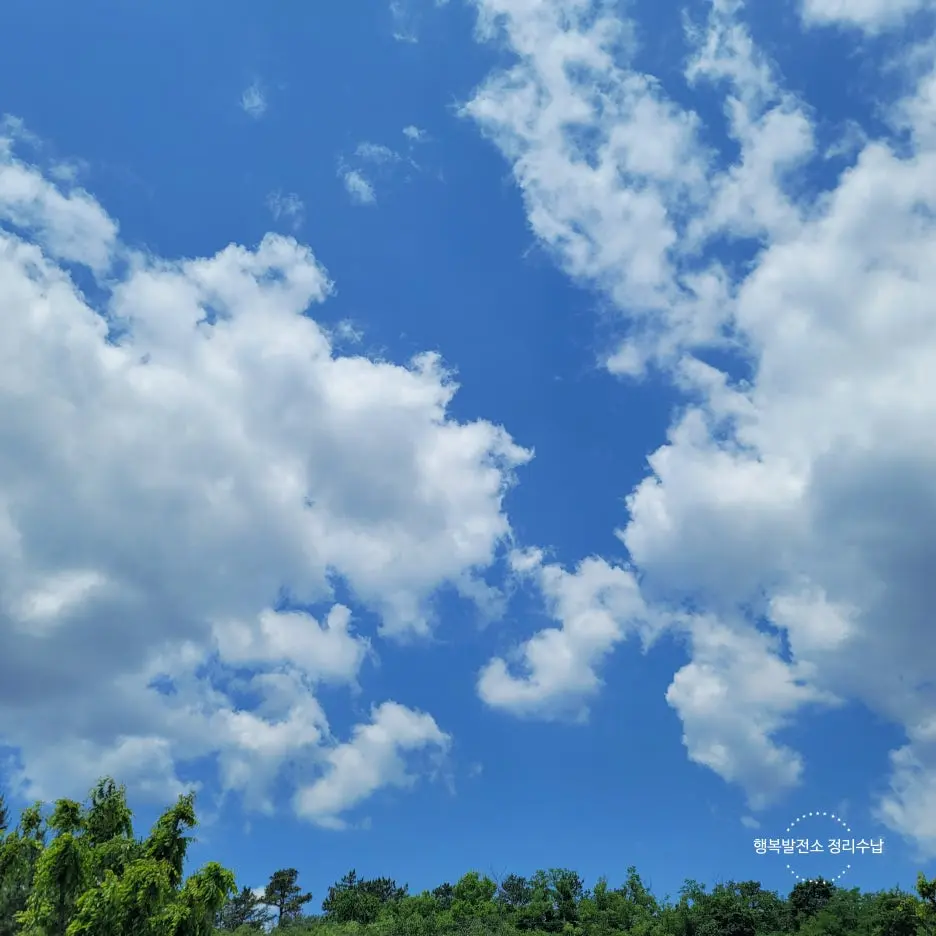 SE-a391f409-8ffe-4e60-91dc-66399c9ef346.jpg?type=w1