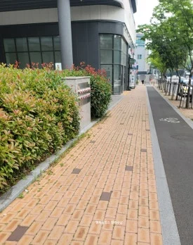 SE-29dc2035-75df-4ed3-8a80-061a464c8dfa.jpg?type=w275