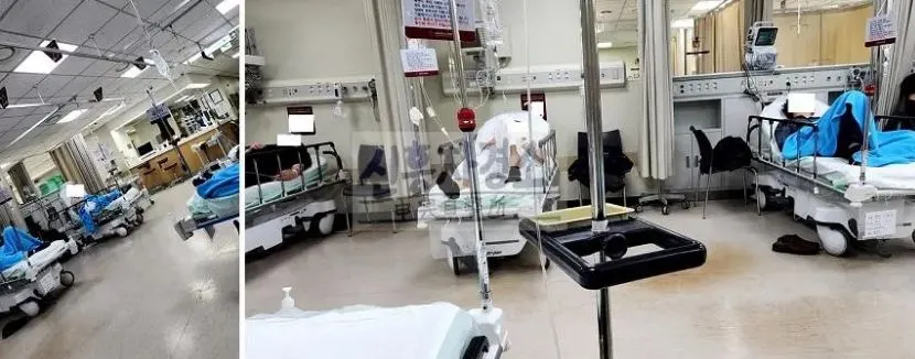 사진1 로고포함.JPG