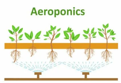 에어로팜 에어로포닉스.JPG