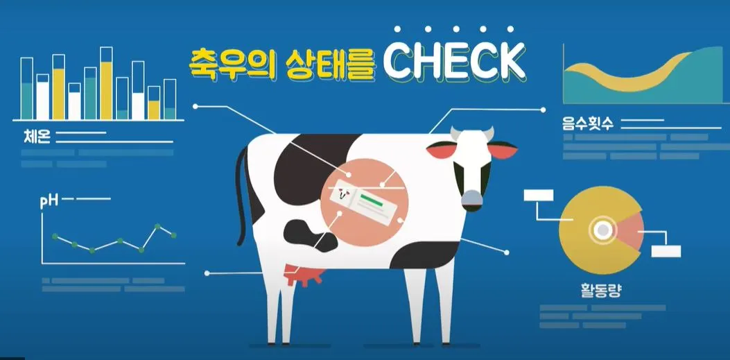 라이브케어 개념.JPG