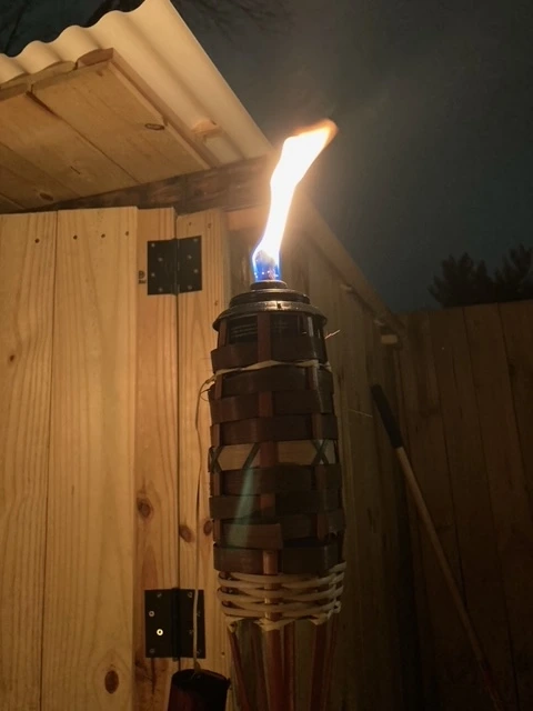 image3.jpeg
